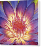 Lotus Lily - Canvas Print