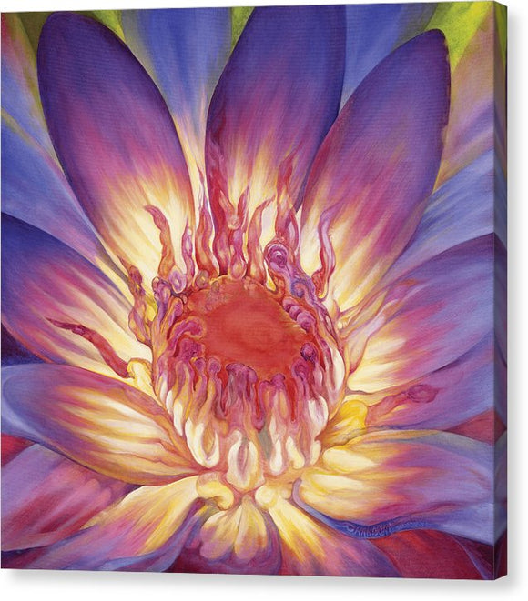 Lotus Lily - Canvas Print